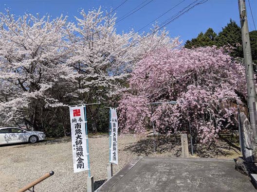 伊賀の里自然墓苑/滝仙寺 永代供養墓・樹木葬