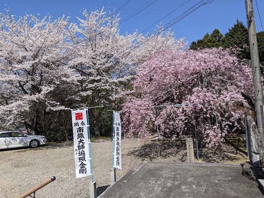 伊賀の里自然墓苑／滝仙寺 永代供養墓・樹木葬