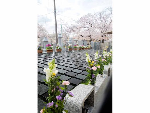 願隆寺 樹木葬・納骨堂