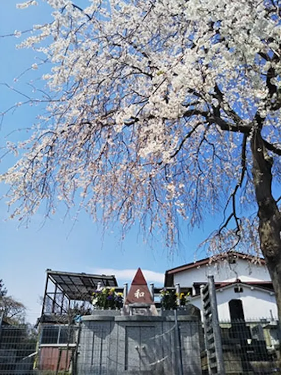 宮城野の杜 共有墓(仙台市宮城野区)の永代供養墓