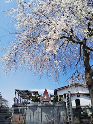 宮城野の杜 共有墓