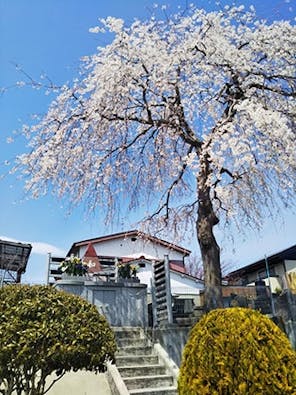 宮城野の杜 共有墓