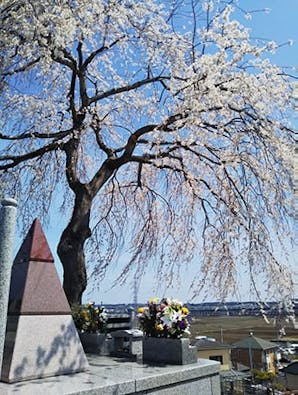 宮城野の杜 共有墓