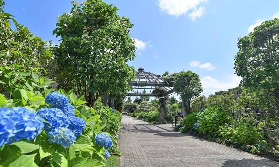 海老名フォーシーズンメモリアル 永代供養墓「花ことば」