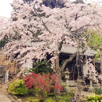 泉福寺墓苑の画像