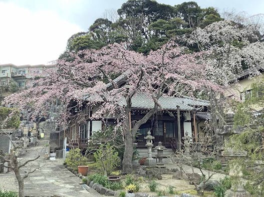 泉福寺墓苑 共有墓