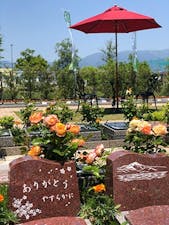 琵琶湖・堅田ふれあいパークの画像