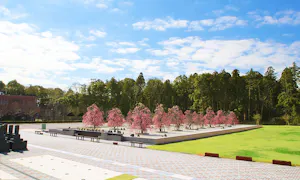 杜の郷霊園 樹木葬(八千代市)の霊園
