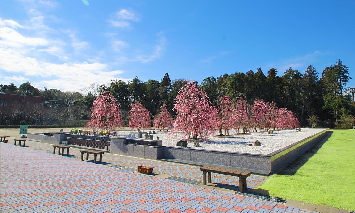杜の郷霊園 樹木葬