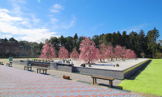 杜の郷霊園 樹木葬