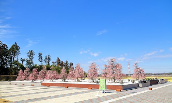 杜の郷霊園 樹木葬