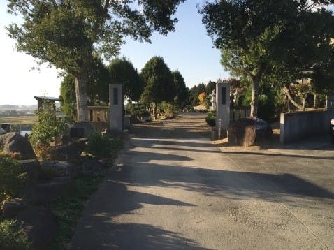 寳林寺の画像