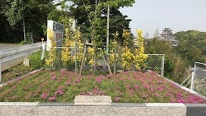田上共同墓地管理組合・樹木葬の画像