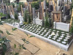豊島染井樹木葬墓地の画像