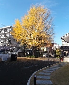 西光寺墓苑の画像