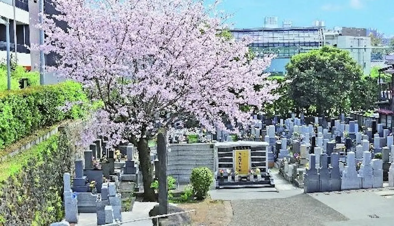 高輪正源寺 永代供養墓(港区高輪地区)の納骨堂