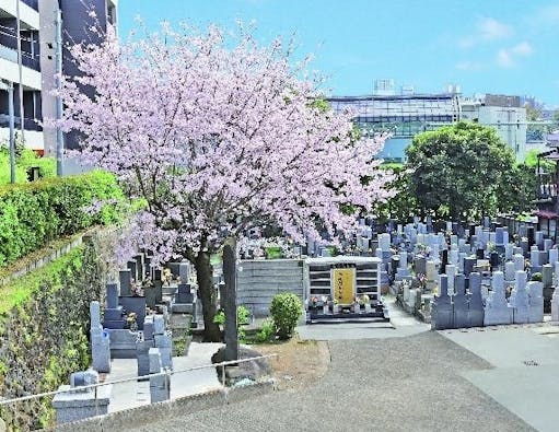 高輪正源寺 永代供養墓