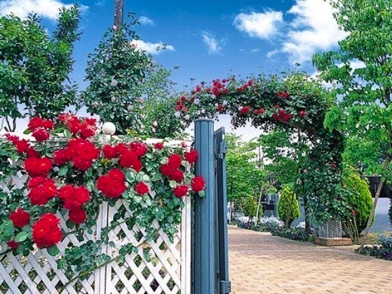 小平メモリアルガーデン ガーデニング型樹木葬「フラワージュ」