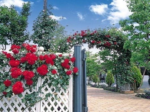 小平メモリアルガーデン ガーデニング型樹木葬「フラワージュ」