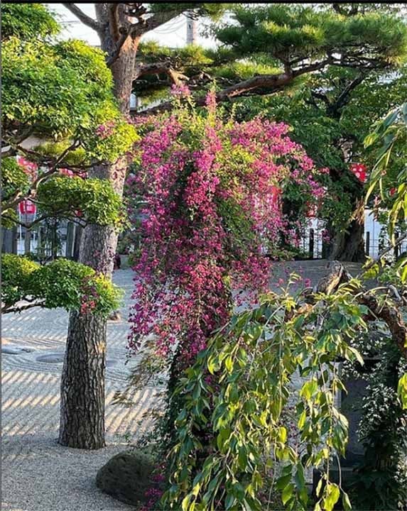 山形永代供養墓園 長岡観音(寒河江市)の費用・販売中区画・口コミ