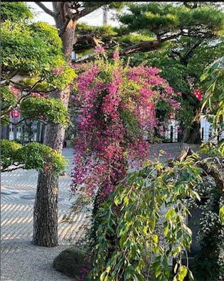 山形永代供養墓園 長岡観音