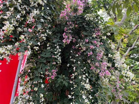 山形永代供養墓園 長岡観音