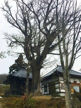 天王寺の画像