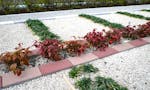 神辺金剛寺墓苑 美しい花と緑に彩られたガーデン区画