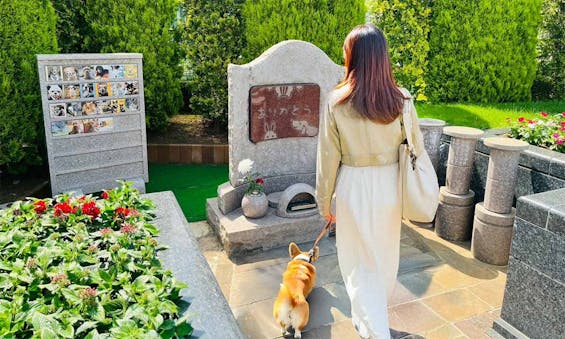 サニープレイス松戸 永代供養墓・樹木葬・納骨堂