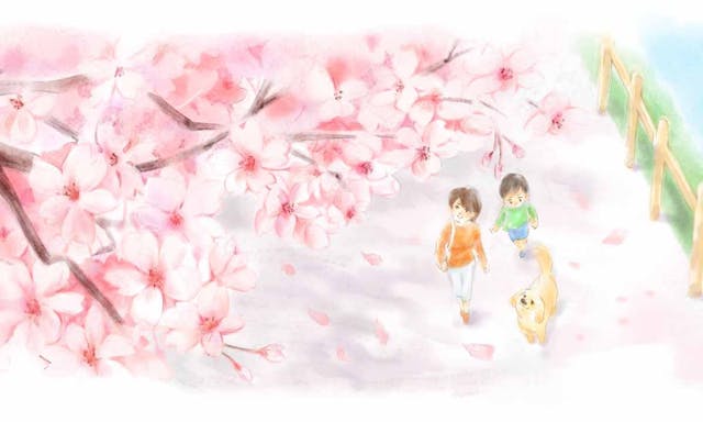 サニープレイス福寿園 樹木葬