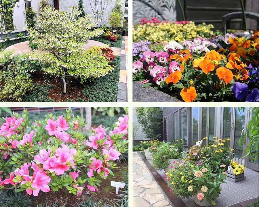 サニープレイス福寿園 樹木葬