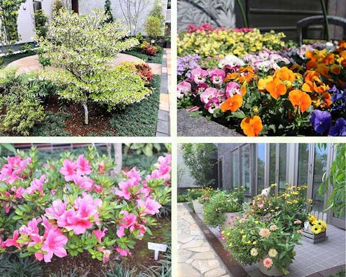 サニープレイス福寿園 樹木葬