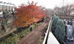 サニープレイス福寿園 樹木葬 秋は紅葉が奇麗です