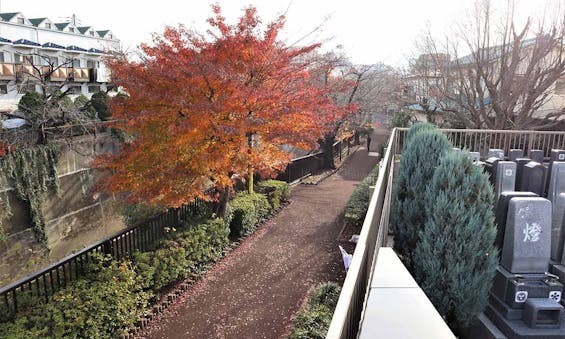 サニープレイス福寿園 樹木葬