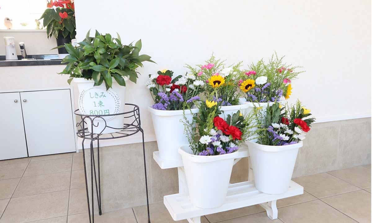 サニープレイス福寿園 樹木葬