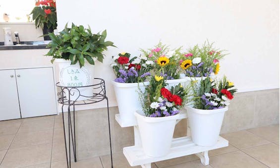 サニープレイス福寿園 樹木葬