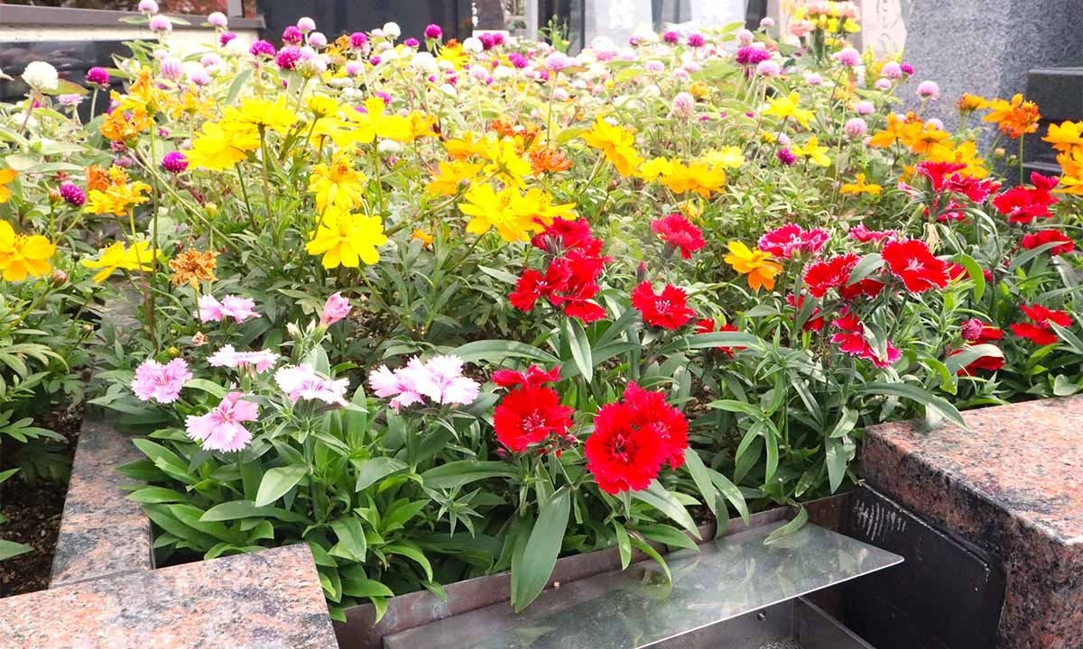 サニープレイス福寿園 樹木葬