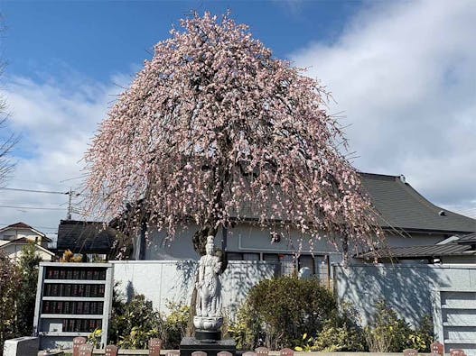 鶴ヶ島霊苑・開栄寺 永代供養墓・樹木葬