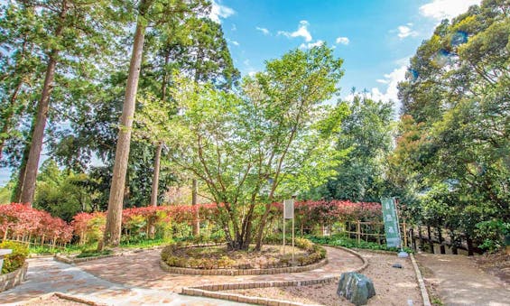 高倉観音・高蔵寺墓苑(髙藏寺墓苑) 永代供養墓・樹木葬