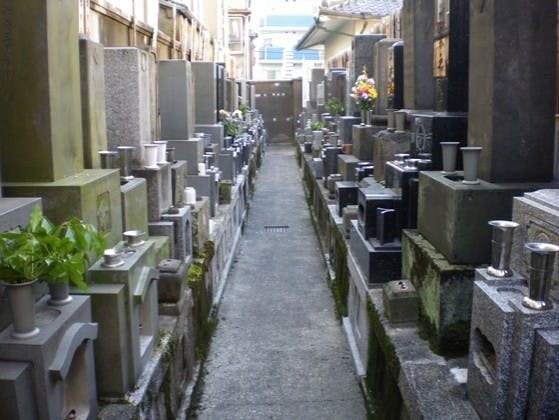 地蔵院の画像