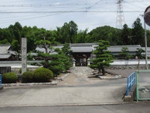 円福寺墓地の画像