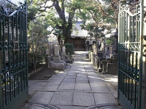 大雄寺の画像