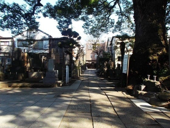 大雄寺