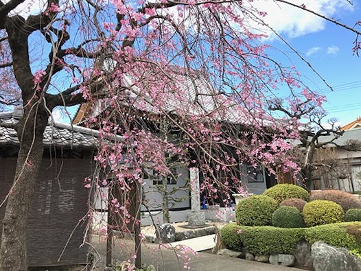 樹木葬型墓地「こころ」