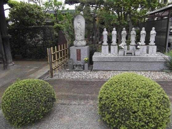 圓光院の画像
