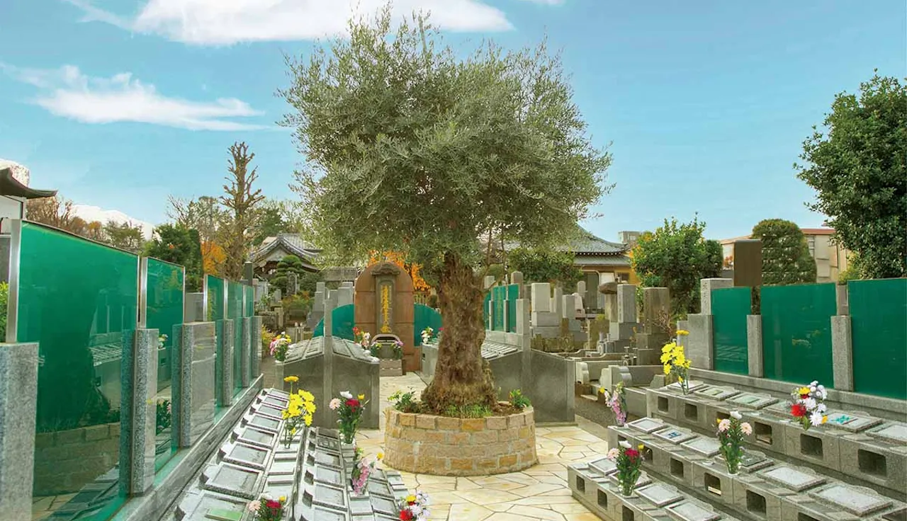 杉並堀ノ内樹木葬 オリーブ光の庭園(杉並区)の霊園・墓地