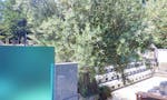 杉並堀ノ内樹木葬 オリーブ光の庭園 50年区画と永代区画 ２つのプランをご用意