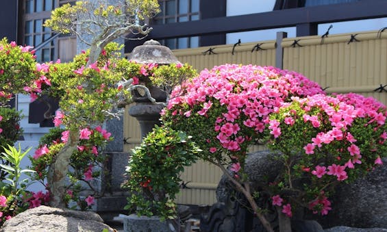 宝積寺 永代供養塔