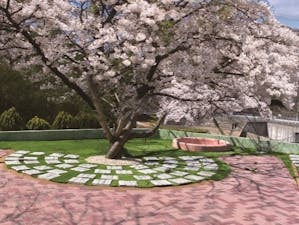神戸平和霊苑 樹木葬「天花の苑」の画像