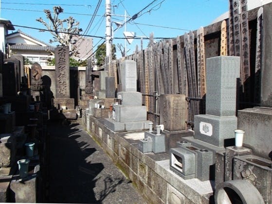西福寺の画像